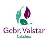 Valstar